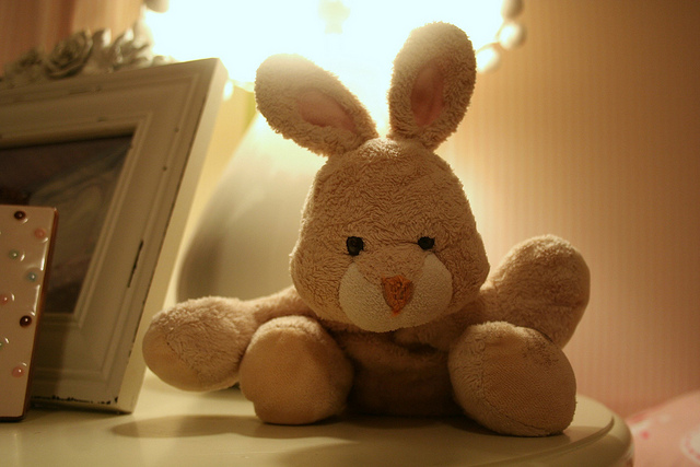 bunny 003