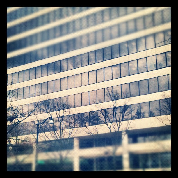 Day 22: Where I work... Somewhere in the middle. #febphotoaday