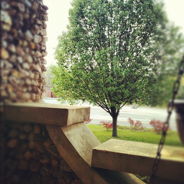 Finally... the view from my front porch is #green. #marchphotoaday