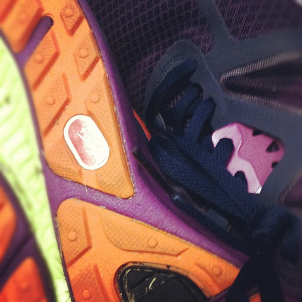 #upclose and personal with my favorite shoes. I had a great 3 mile run lunch today. I'm trying to focus on increasing my speed.  Grrrr. #photoadayjune