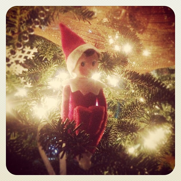 Day 4: Hanging out in the Christmas tree! #thedailyscout #elfontheshelf #scenesfromtherockhouse