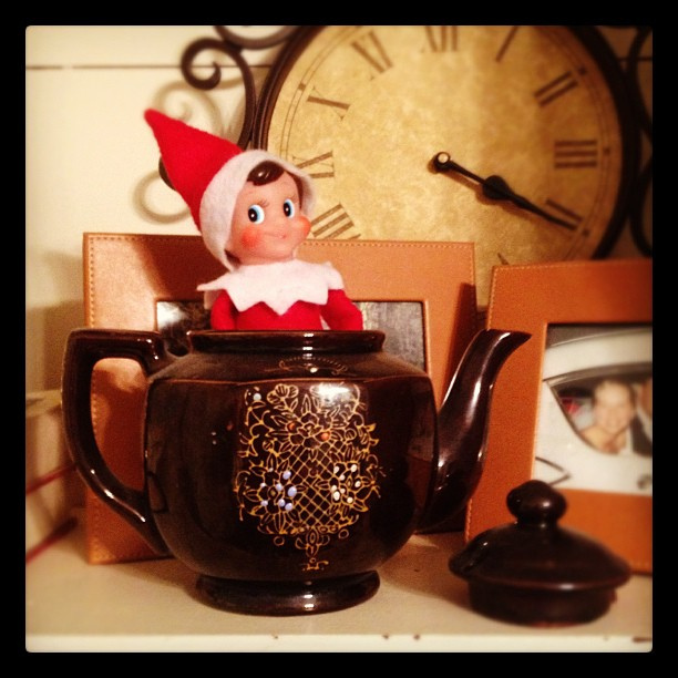 Day 5: In a teapot. #thedailyscout #elfontheshelfb #scenesfromtherockhouse