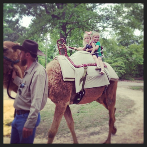 The girls went on a camel ride!!