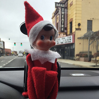 Even Scout was packed and ready to head home today! #thedailyscout14 #tazandbellychristmas #tazandbellycamp
