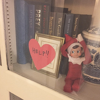 It looks like Scout got trapped in the bookcase last night! #thedailyscout14 #tazandbellychristmas