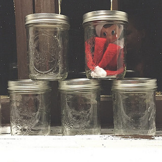 Scout was playing Hide & Seek in the kitchen this morning. #thedailyscout14 #tazandbellychristmas