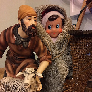 Scout was hanging out with the shepherds at the manger this morning. #thedailyscout14 #tazandbellychristmas