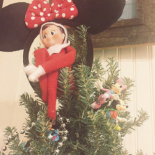 M-I-C-K-E-Y M-O-U-S-E! We have so many Disney ornaments at this point that they got their own tree in the kitchen. Apparently Scout is a fan! #thedailyscout14 #tazandbellychristmas