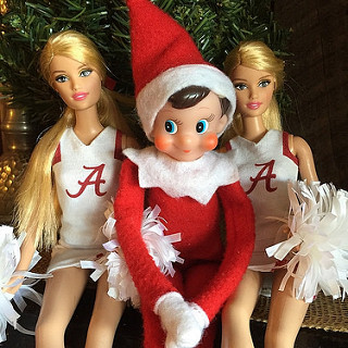 Scout is still basking in the glow of last night's win! #thedailyscout14 #tazandbellychristmas #rolltideyall