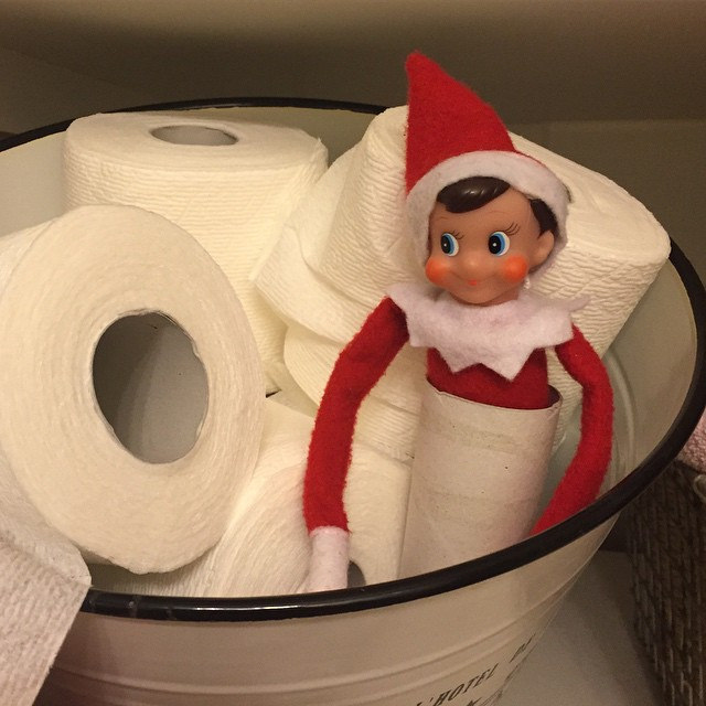 Scout rolled the bathroom today! Kids = ecstatic. Mom = has to clean it up. #thedailyscout14 #tazandbellychristmas