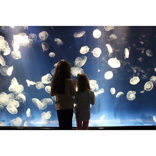 Day 74/365: Spending a BEAUTIFUL day in Chattanooga with my littles. #tazandbellyhappen #tennesseeaquarium