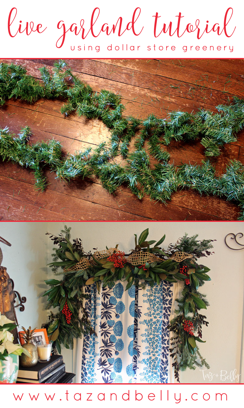 Christmas greenery doesn't have to break the bank. Try this tutorial for DIY Live Holiday Garland using inexpensive dollar store greenery! | tazandbelly.com