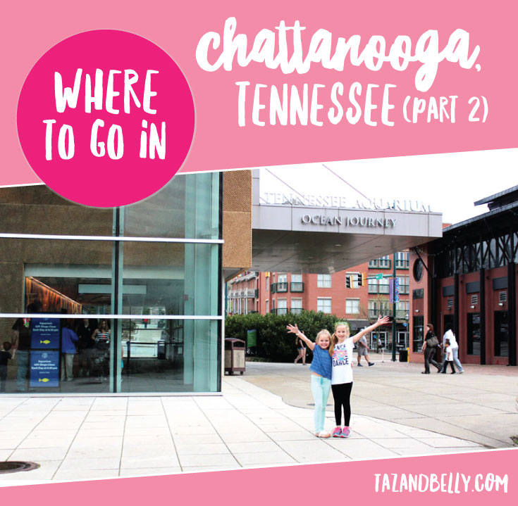 Where to Go in Chattanooga | tazandbelly.com