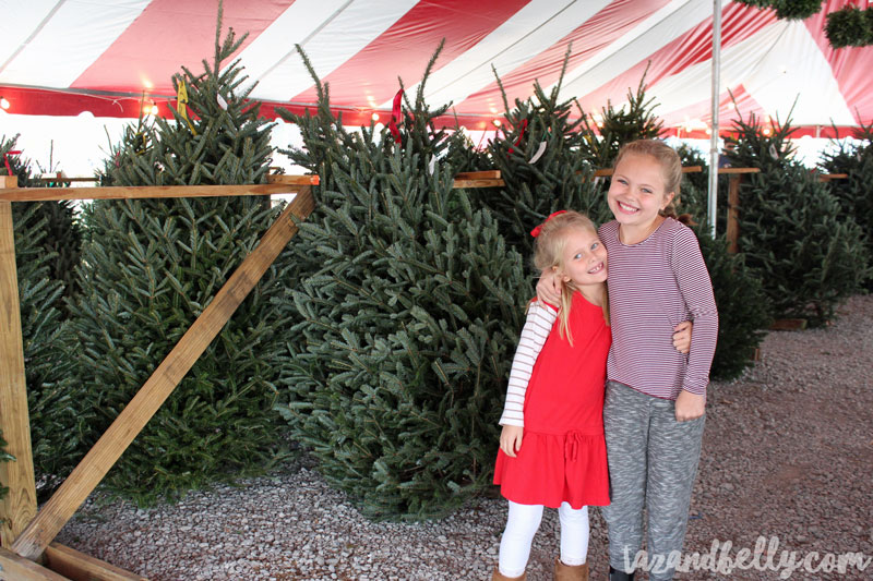 Finding Our Christmas Tree | tazandbelly.com