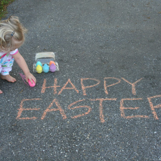 Bunny Visits