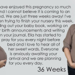 Baby Belly, Week 36