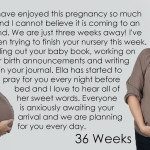 Baby Belly, Week 36