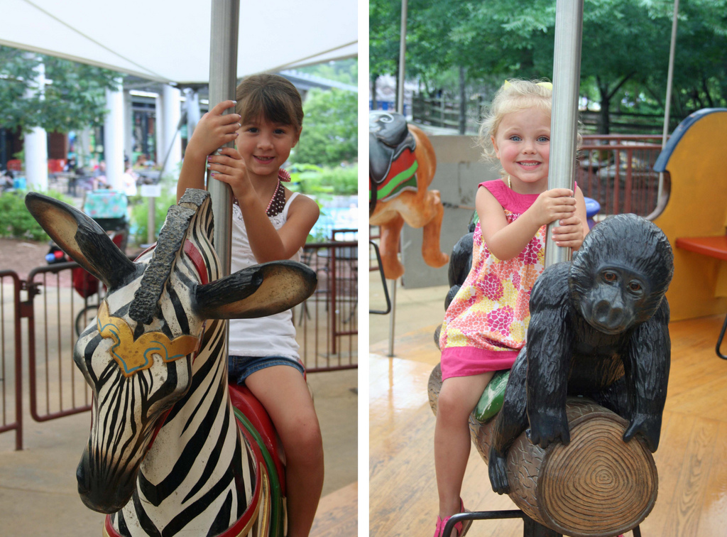 carousel ride