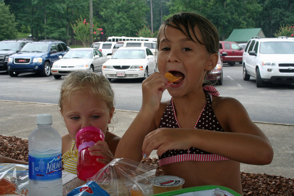 picnic lunch