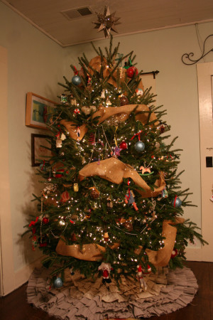 Oh Christmas Tree!