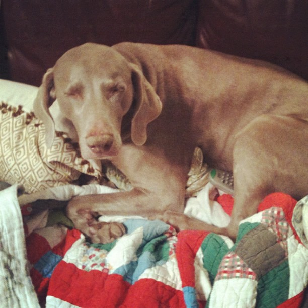 falling asleep sitting up.