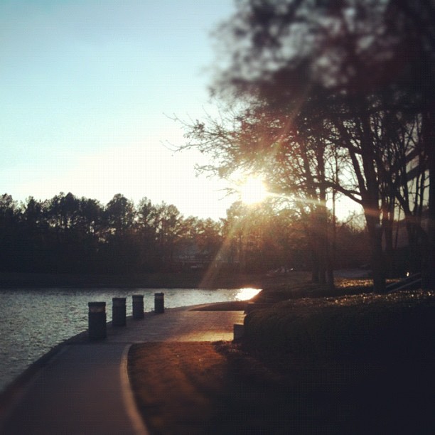 Today's post-run sunshine. #febphotoaday