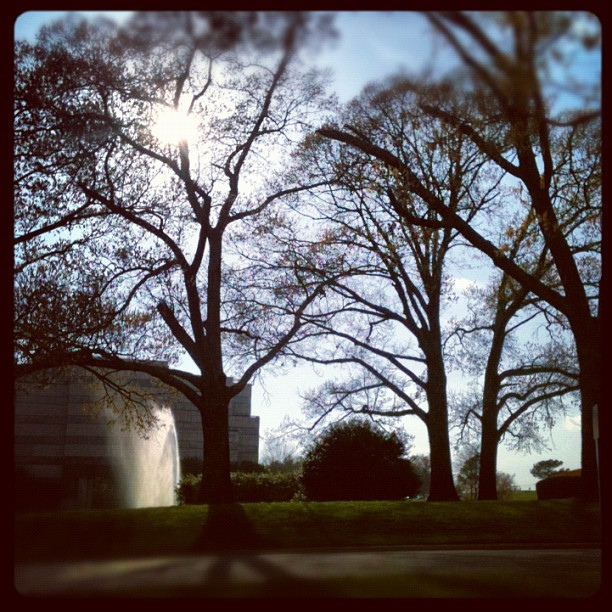 Only a few #clouds today. #marchphotoaday