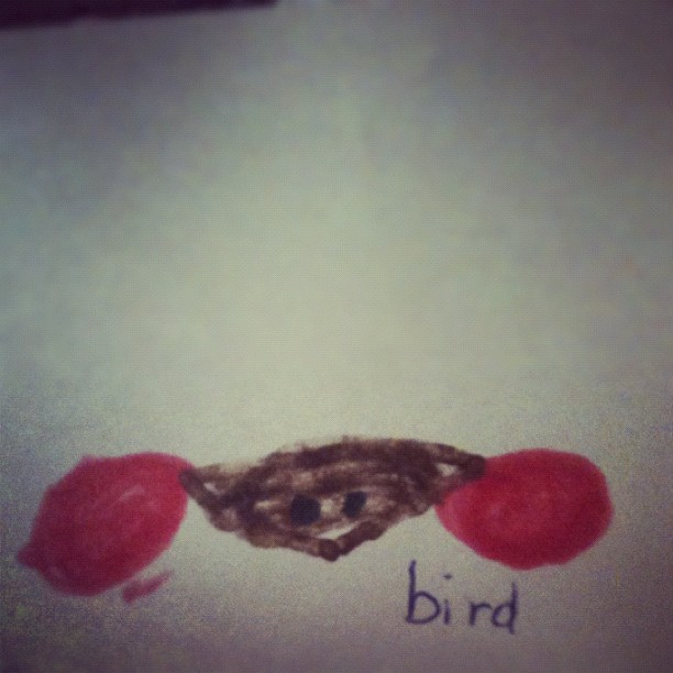 Bird