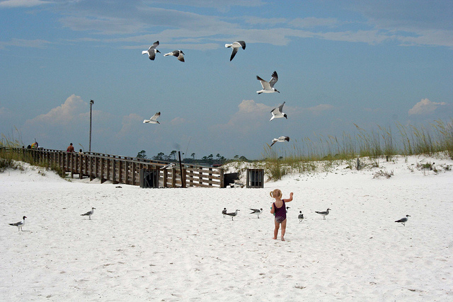 FRI - Sophie Feeding Birds