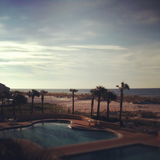 Good morning, paradise.