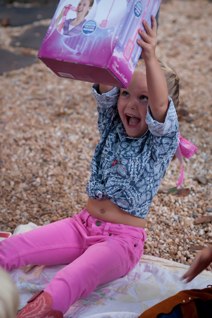 Cowgirl Cookout Birthday Party