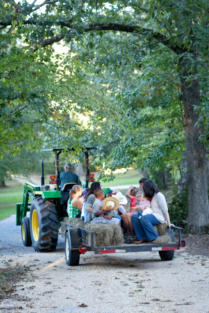 Cowgirl Cookout Birthday Party