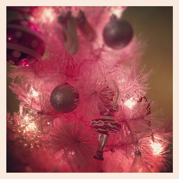 Oh, Christmas tree!