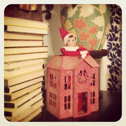 Day 18: Looking for a house of his own. #thedailyscout #elfontheshelf #scenesfromtherockhouse