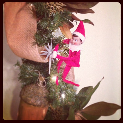 Day 20: A high climbing adventure. #thedailyscout #elfontheshelf #scenesfromtherockhouse