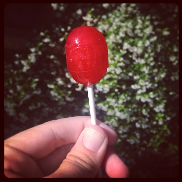 What I'm doing now: eating a watermelon blow-pop!! Tagged by @jenniferggreen Tagging @ouroklahomanest @kaitlyn_lauren @meganepperson and anyone else who wants to play along! #widn