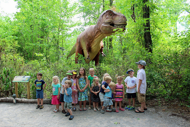 Dinosaur Exhibit