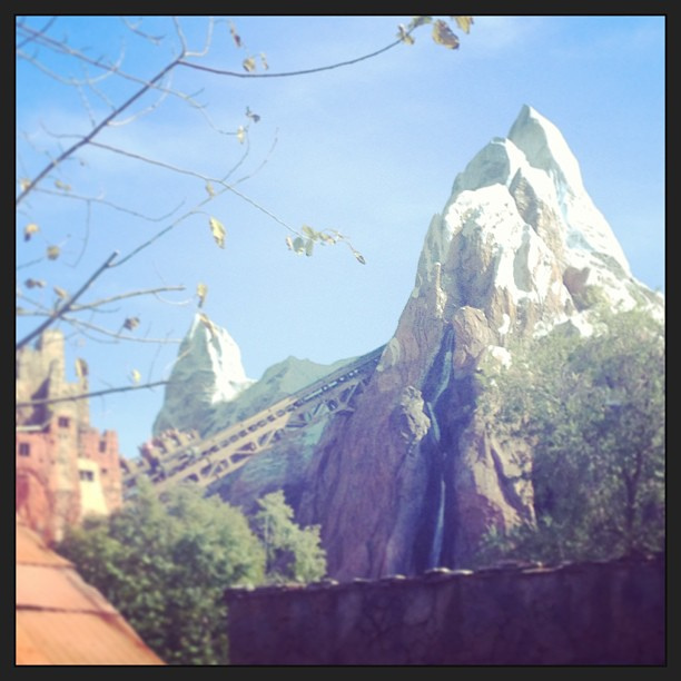 Dad & I just left everyone in favor of a one hour wait and Mt. Everest. #iheartrollercoasters #waltdisneyworld #animalkingdom