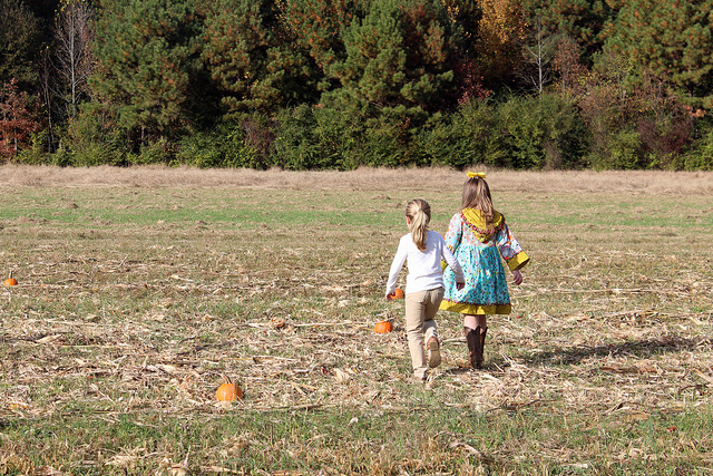 Pumpkin Picking Party