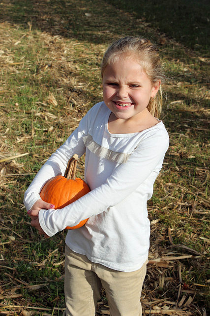 Pumpkin Picking Party