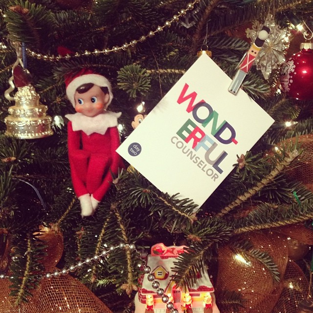 Day 2: Wonderful, Counselor! Scout was hiding with our Advent Card in the Christmas tree! #ntdadvent #thedailyscout13