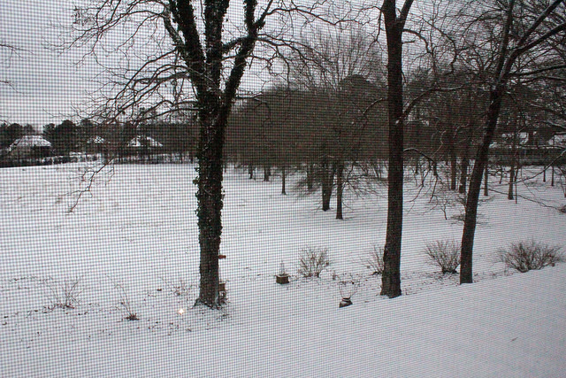 CIRCUS & SNOW 096