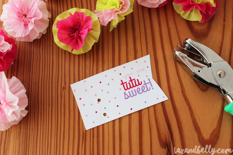 Tutu Lollipop Valentines Tutorial | tazandbelly.com