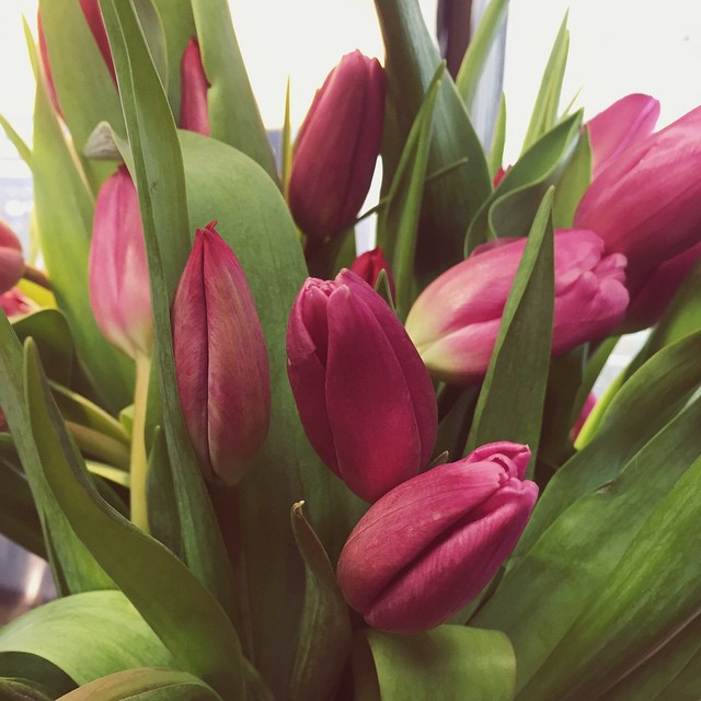 I know that flowers are impractical, but really... what girl doesn't love a surprise delivery?! And kudos to the boy who knows roses are not where it's at. #givemeallthetulips