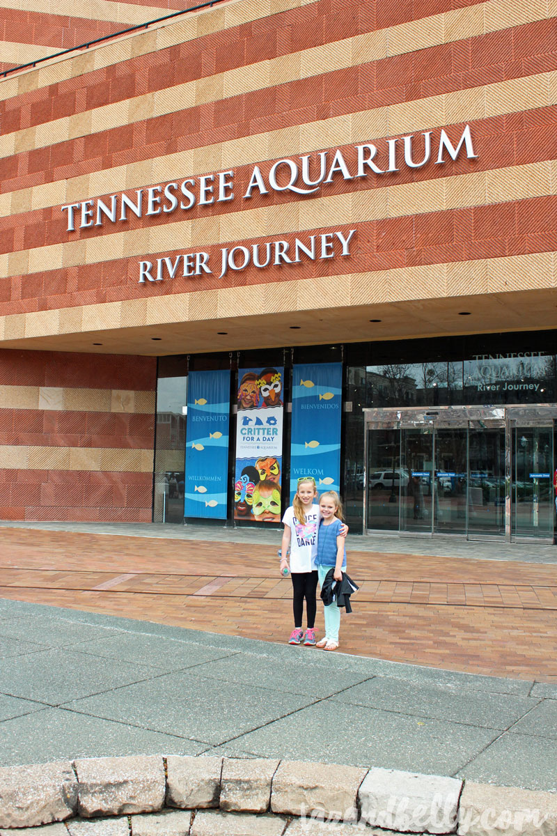 Tennessee Aquarium | tazandbelly.com