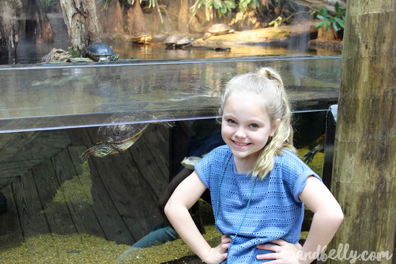 Tennessee Aquarium | tazandbelly.com