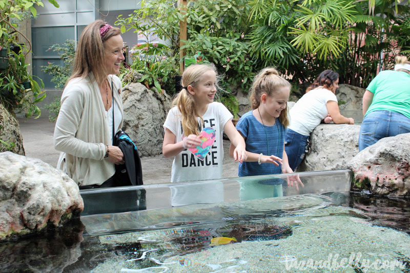 Tennessee Aquarium | tazandbelly.com