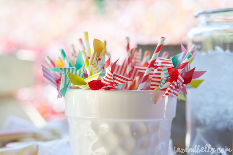 DIY Unicorn Party | tazandbelly.com