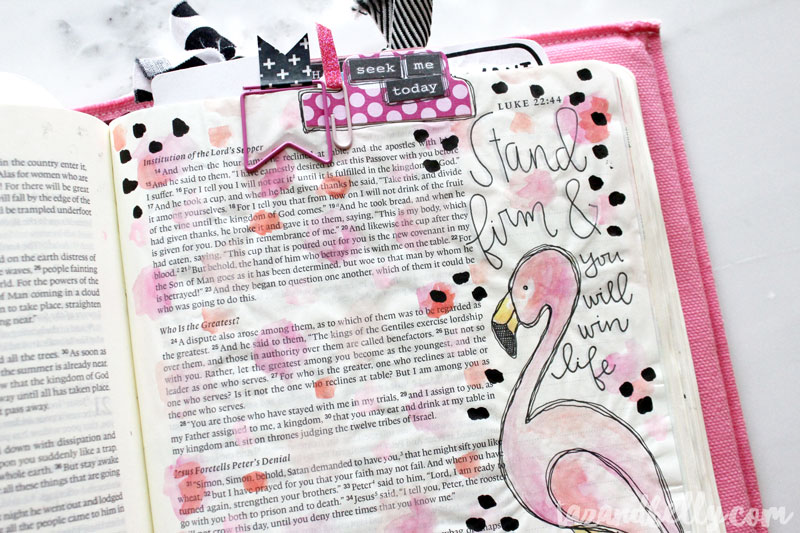 Bible Journaling Update | tazandbelly.com