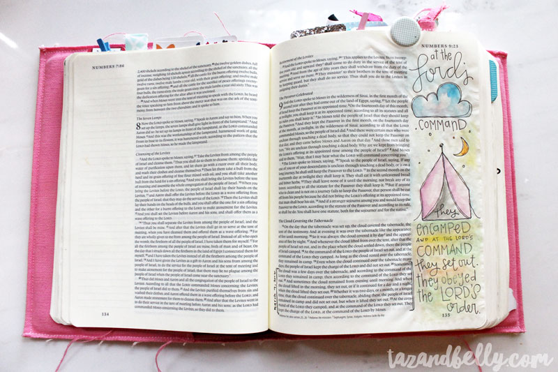 Bible Journaling Update | tazandbelly.com